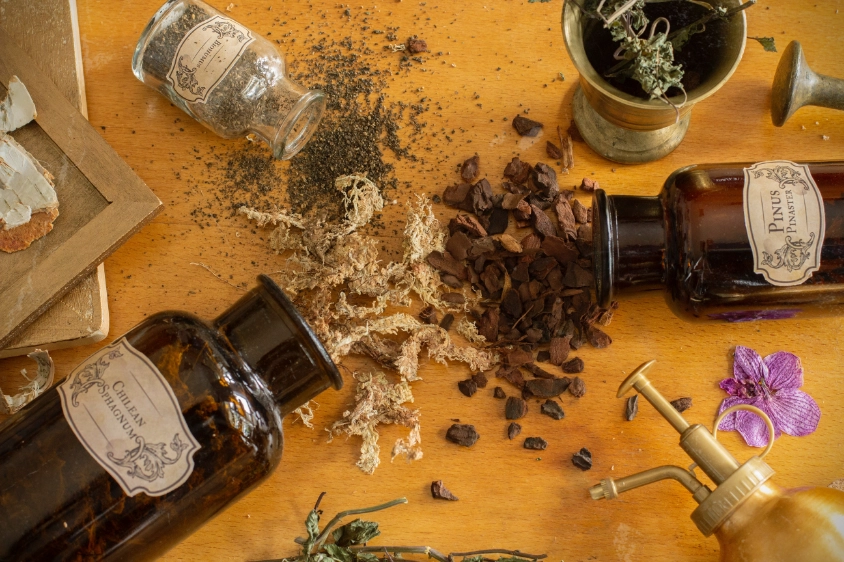 MicrosoftTeams-image (1)